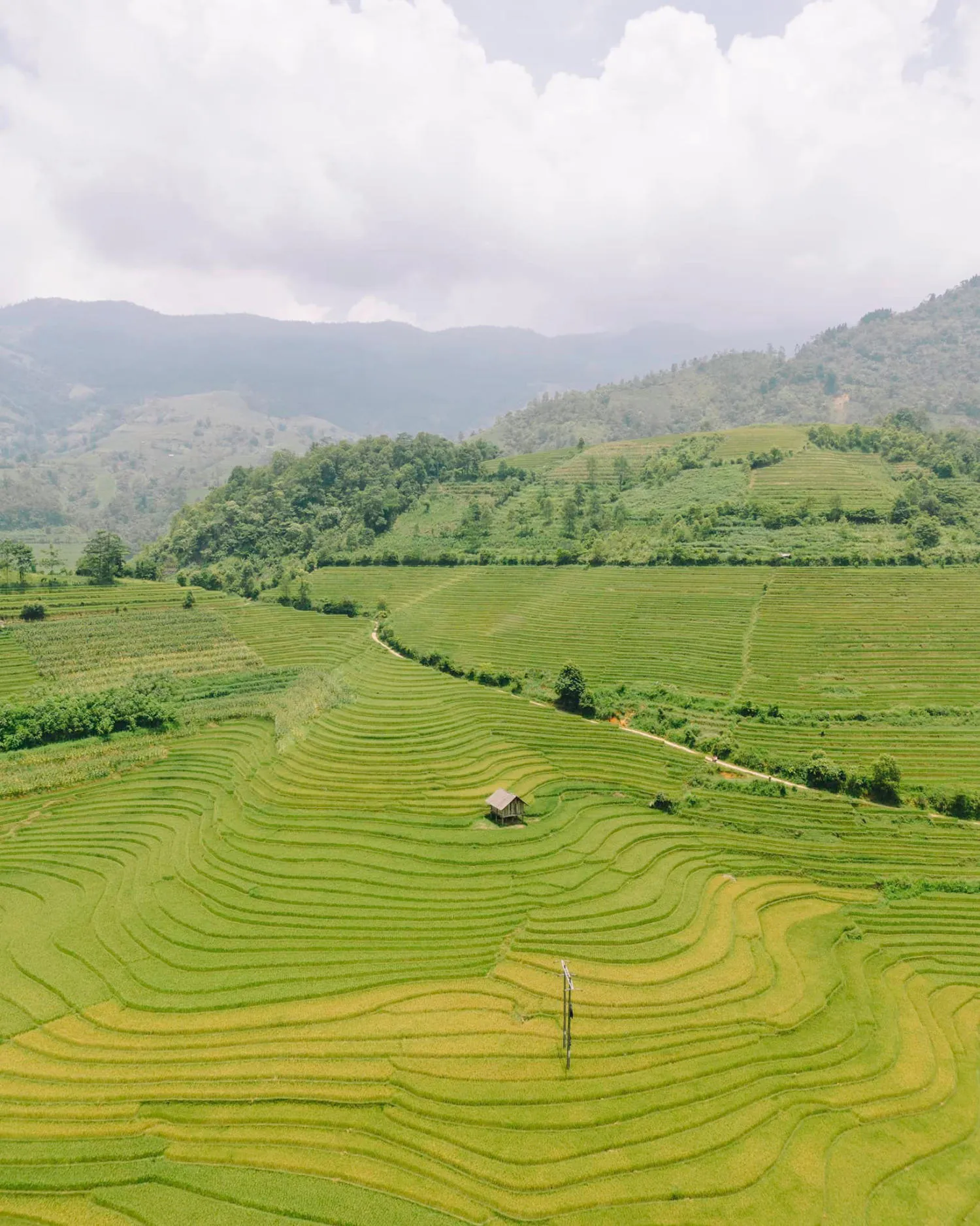 Khám phá Nậm Cang mùa lúa chín mộc mạc và rất đỗi bình dị