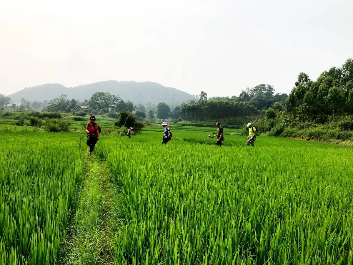 Khám phá nét đẹp độc đáo của Bản văn hóa Ngòi Tu