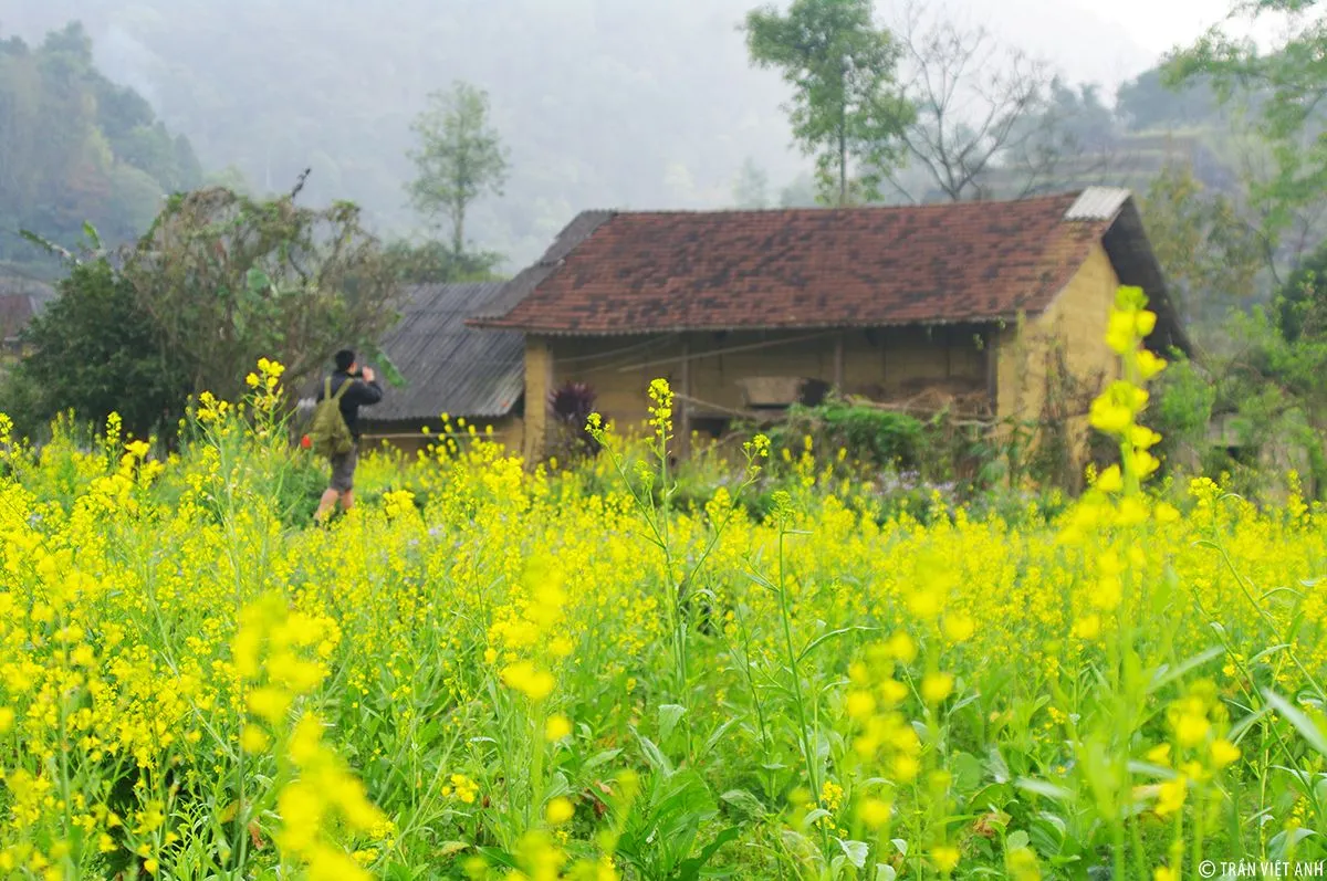 Khám phá nét đẹp văn hóa vùng cao tại Chợ Quyết Tiến Hà Giang