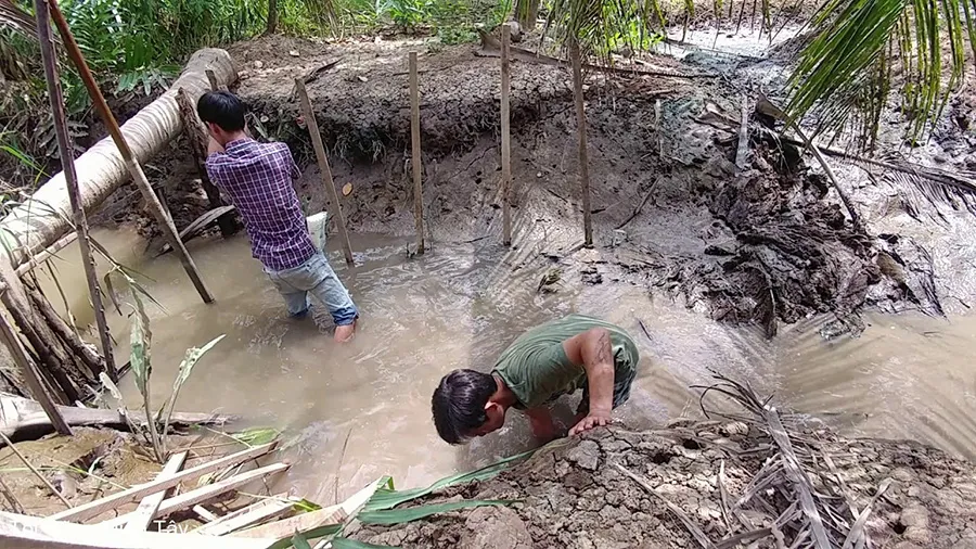 Khám phá Nghề đặt nò ở Cà Mau để khai thác cá tôm tự nhiên