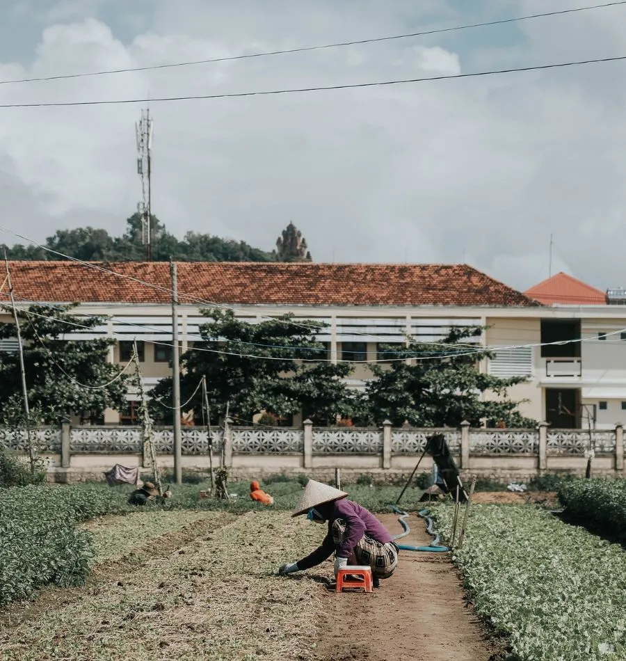 Khám phá Phú Yên đầy nắng và gió qua những thước ảnh bình yên