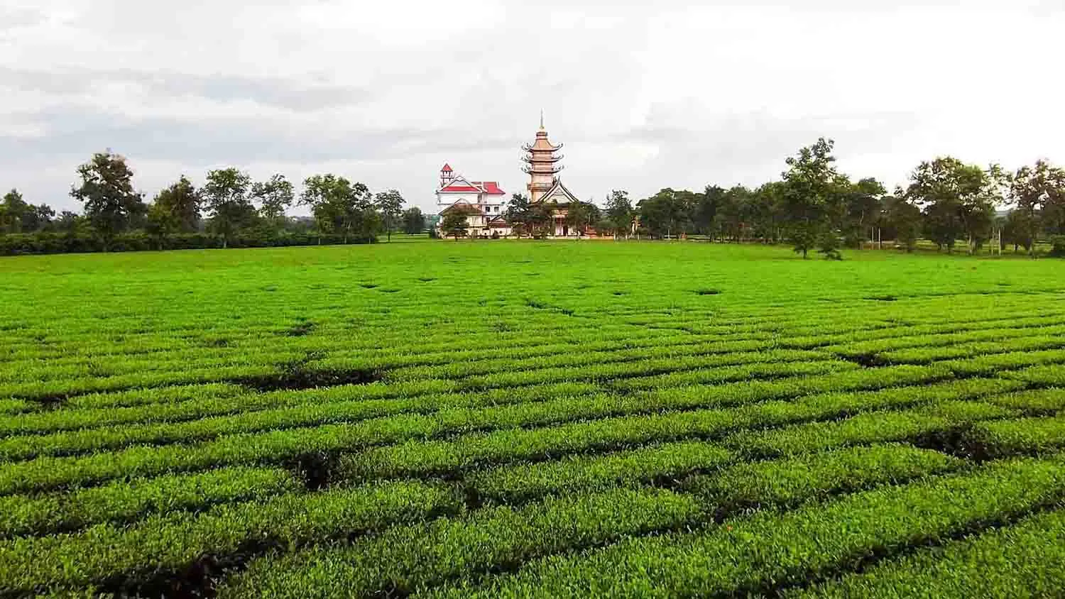 Khám phá Pleiku – Kon Tum – Măng Đen 4N3D cực thú vị