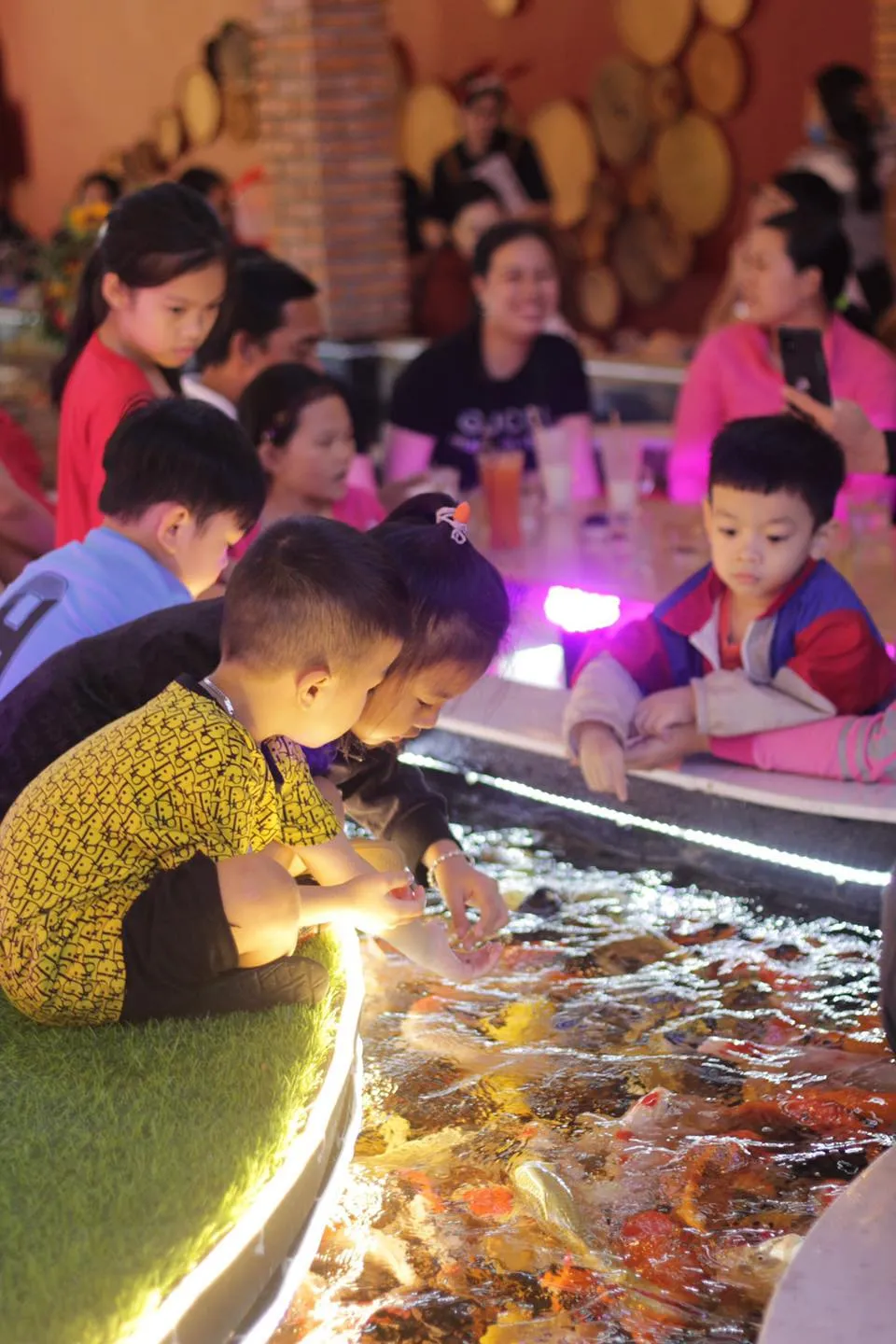 Khám phá Royal Koi Coffee Garden, thiên đường cafe cá Koi