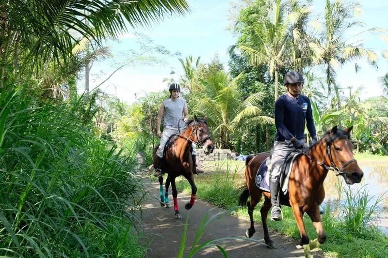 Khám phá Ruộng bậc thang Tegalalang, điểm đến hòa mình thiên nhiên