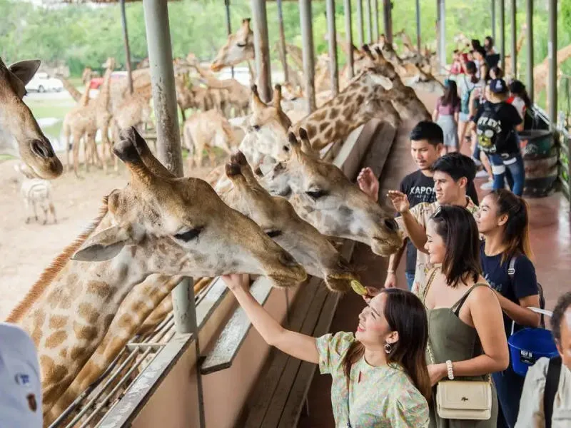 Khám phá tour du lịch Thái Lan 4 ngày 3 đêm và những trải nghiệm thú vị