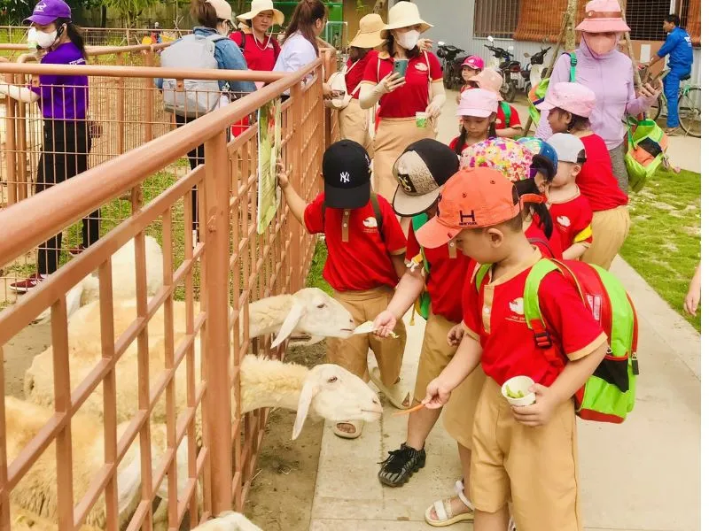 Khám phá TTC Mekong Aqua Park: Thiên đường giải trí tại Bến Tre