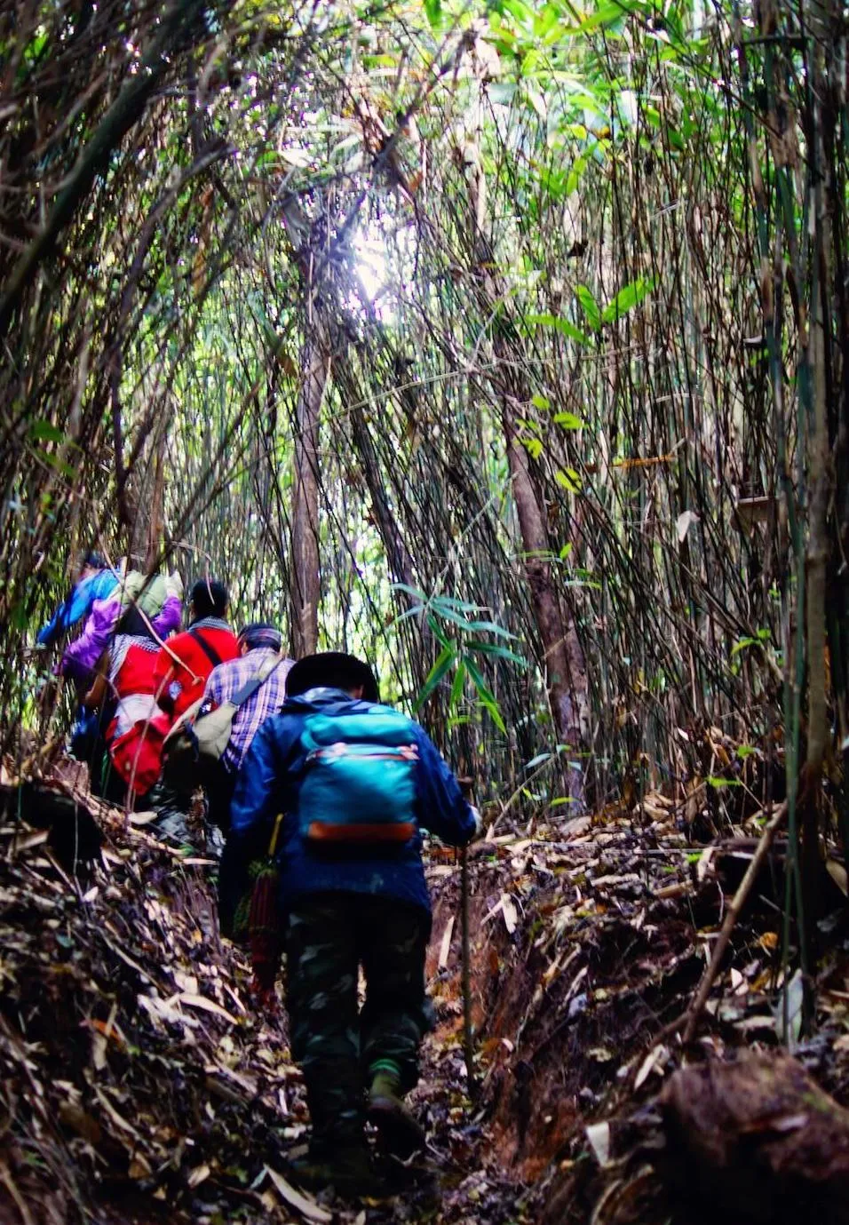 Khám phá và trải nghiệm Trekking săn mây Mộc Châu