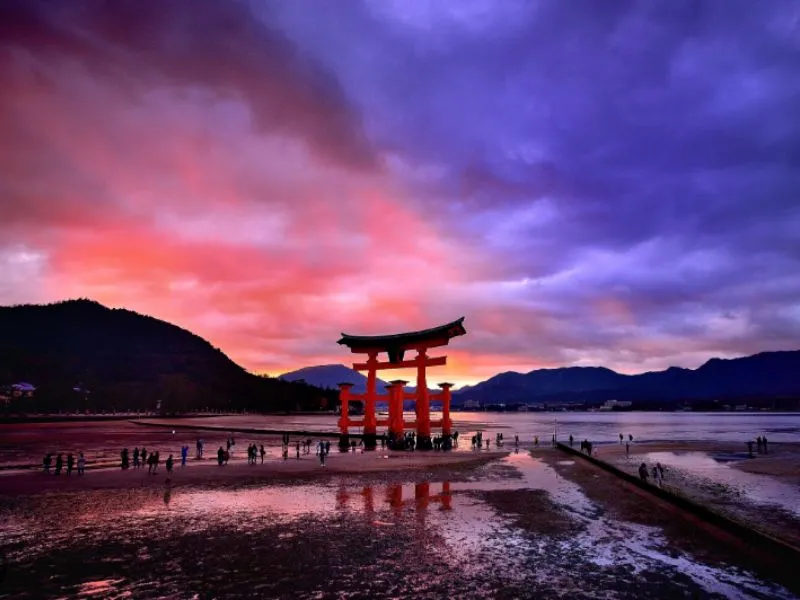 Khám phá vẻ đẹp đền Itsukushima: Ngôi đền thần đạo trên đảo Miyajima