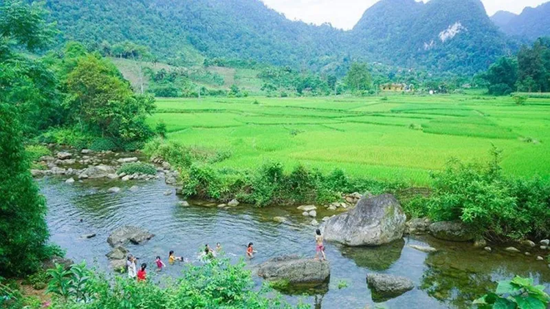 Khám phá Vườn Quốc gia Xuân Sơn cùng hệ sinh thái đa dạng, phong phú