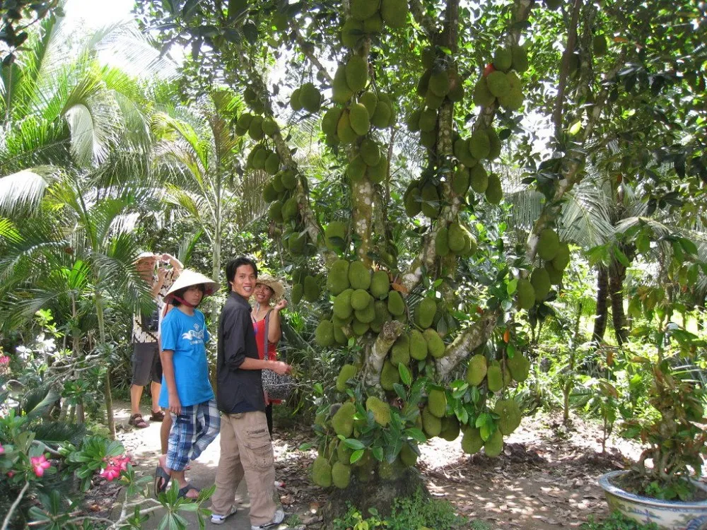 Khám phá Vườn trái cây Lái Thiêu Bình Dương giá rẻ ngon nức tiếng