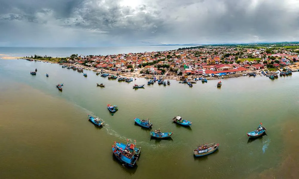 Không thử Sò huyết sông Roòn Quảng Bình khi đi du lịch sẽ tiếc hùi hụi