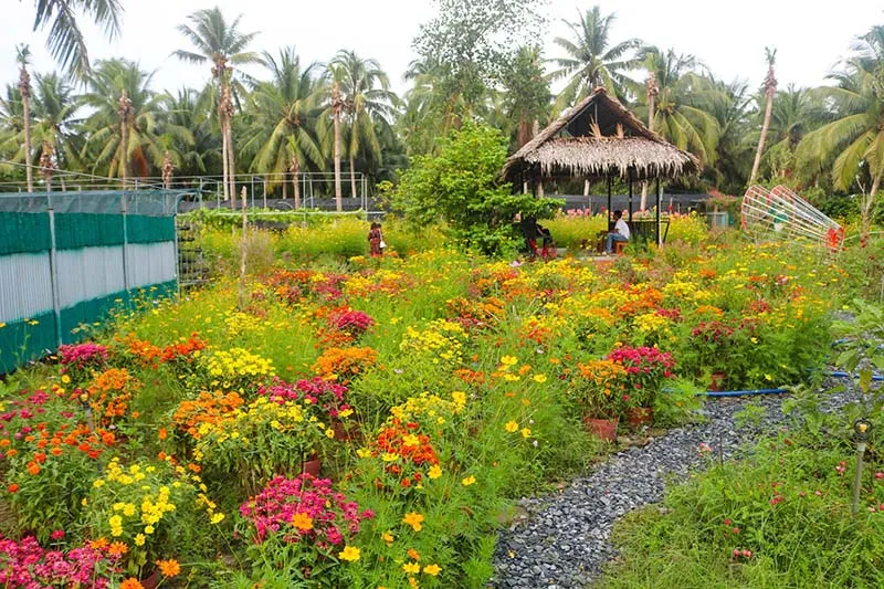 Khu du lịch Hạ Thảo, toạ độ vui chơi hấp dẫn tại Bến Tre