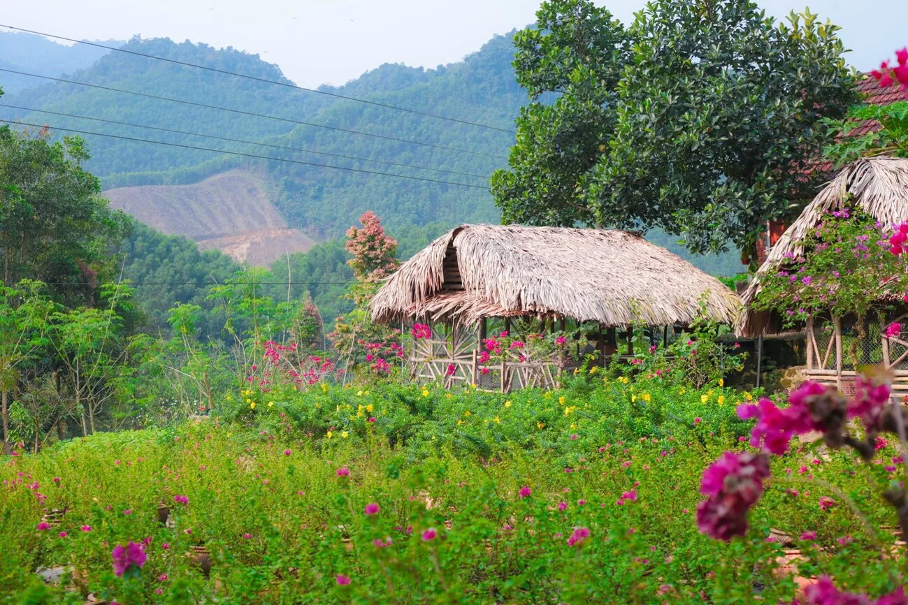 Khu du lịch Suối Hoa Đà Nẵng – Chốn nghỉ dưỡng bình yên