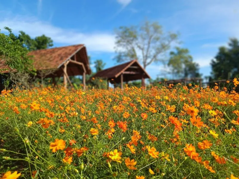 Khu du lịch Troh Bư, nơi lưu giữ vẻ đẹp hùng vĩ của Đắk Lắk