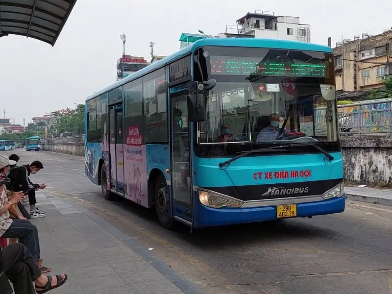 Kinh nghiệm check-in thung lũng hoa Hồ Tây đẹp ngút ngàn