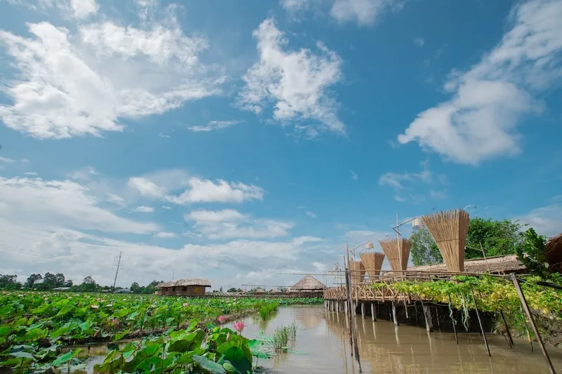 Kinh nghiệm đi Cao Lãnh Đồng Tháp cho chuyến đi đáng nhớ