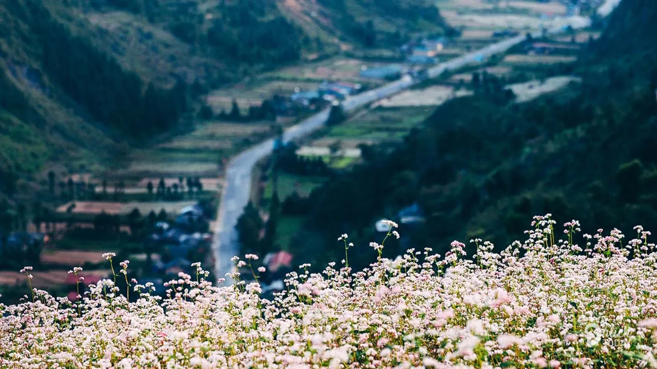 Kinh nghiệm đi du lịch Đồng Văn – Hà Giang tự túc an toàn, thú vị