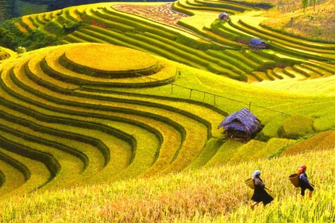 Kinh nghiệm đi du lịch Hoàng Su Phì – Hà Giang tự túc bạn nhất định phải biết