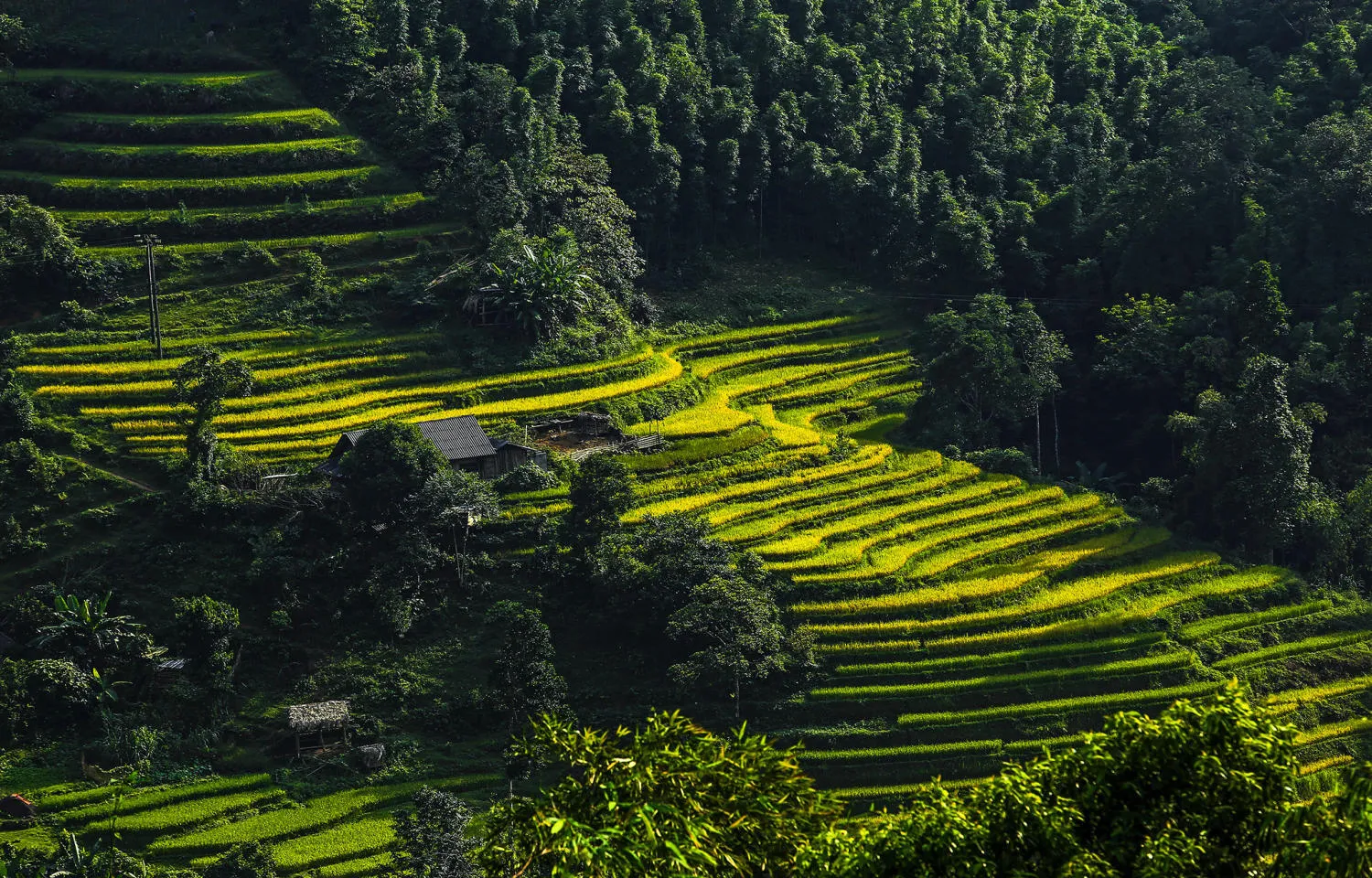 Kinh nghiệm đi Hà Giang mùa nào đẹp nhất trong năm?