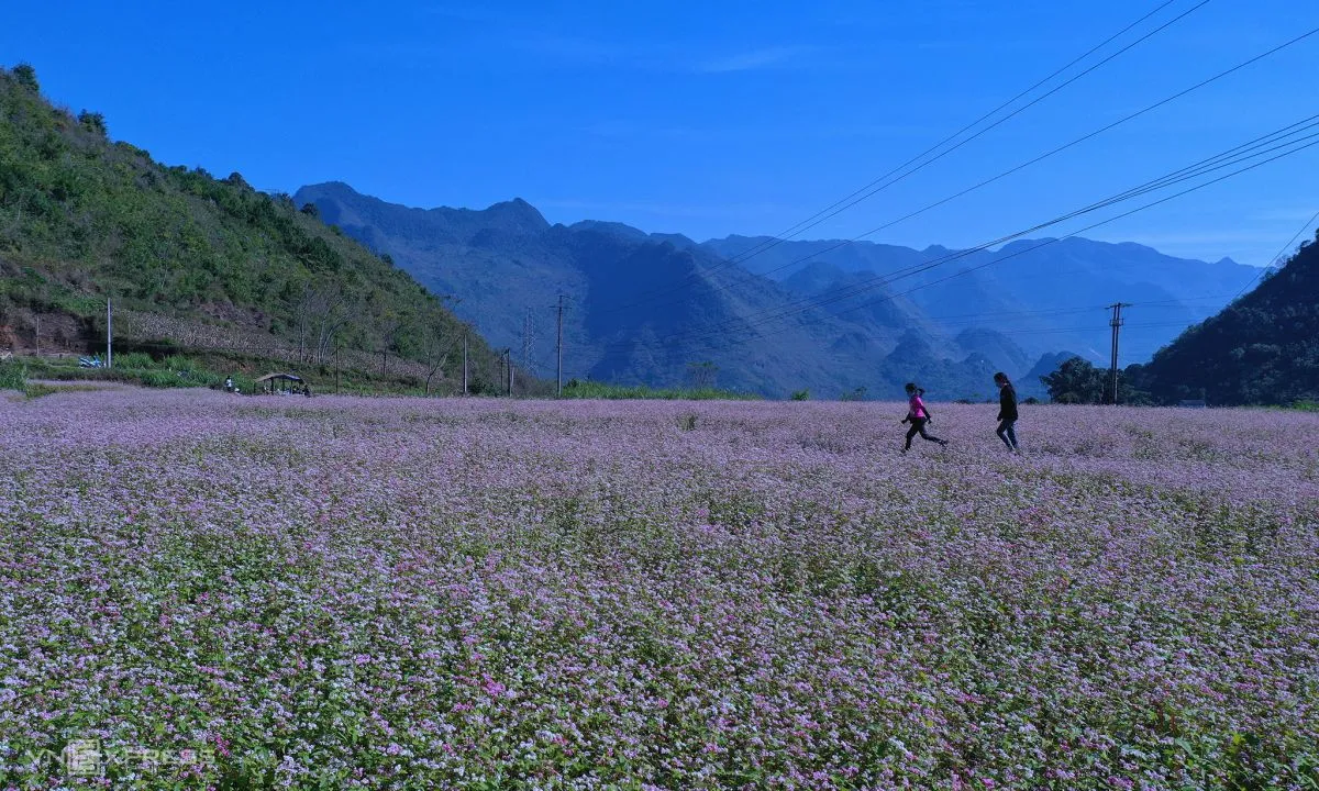 Kinh nghiệm đi Hà Giang mùa nào đẹp nhất trong năm?