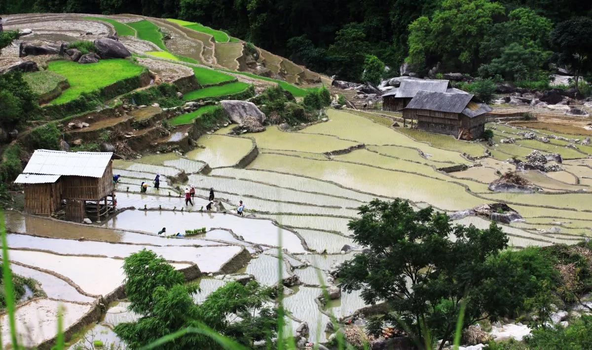 Kinh nghiệm đi Hà Giang mùa nước đổ – Khám phá vẻ đẹp khác của Hà Giang