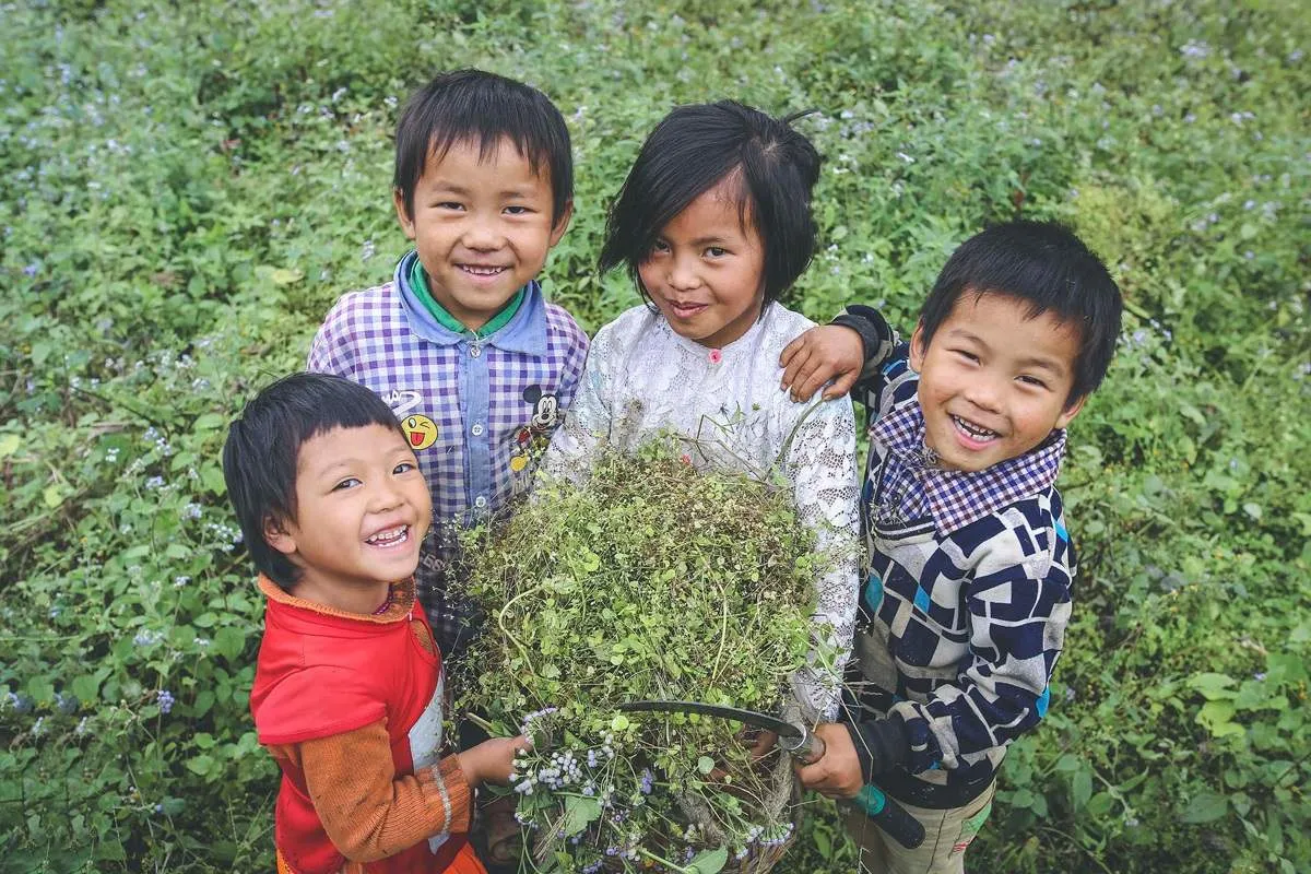 Kinh nghiệm di lịch Hà Giang tự túc vào tháng 5 – Mùa gây thương nhớ