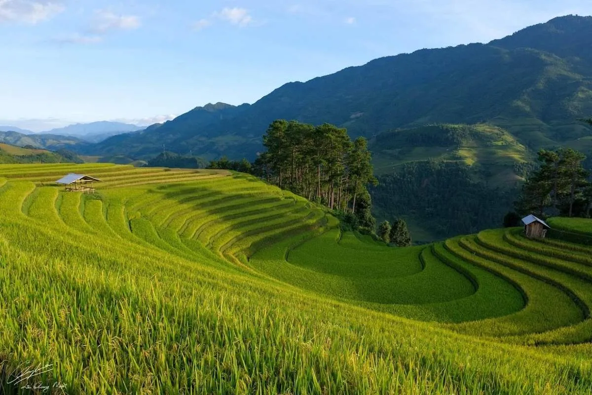 Kinh nghiệm di lịch Hà Giang tự túc vào tháng 5 – Mùa gây thương nhớ