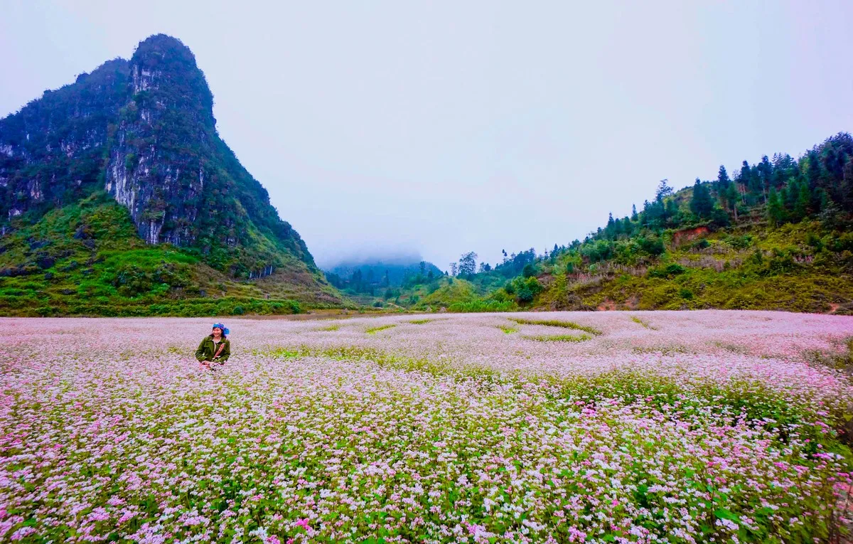 Kinh nghiệm du lịch Hà Giang tự túc vào tháng 10 thoả chí tung hoành