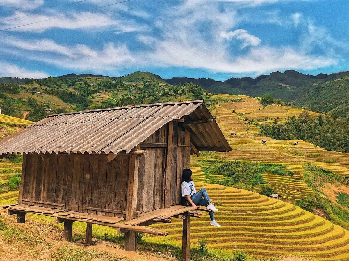 Kinh nghiệm du lịch Hà Giang tự túc vào tháng 9 – Mùa lúa chín trên rẻo cao