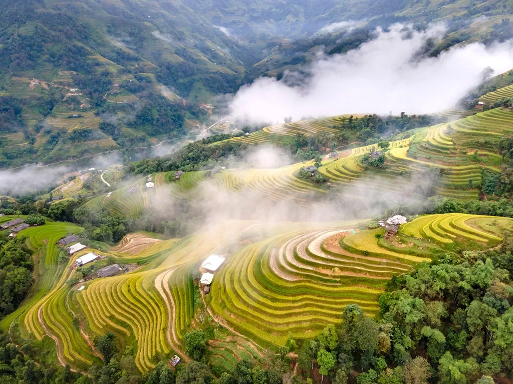 Kinh nghiệm du lịch Hà Giang tự túc vào tháng 9 – Mùa lúa chín trên rẻo cao