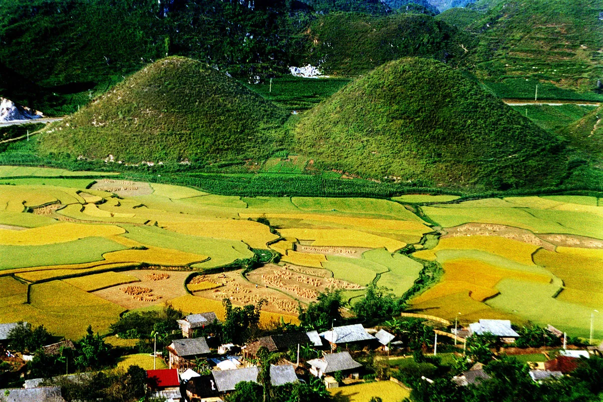 Kinh nghiệm du lịch Hà Giang tự túc vào tháng 9 – Mùa lúa chín trên rẻo cao