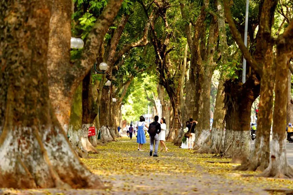 Kinh nghiệm du lịch Hà Nội mùa thu đẹp đến nao lòng