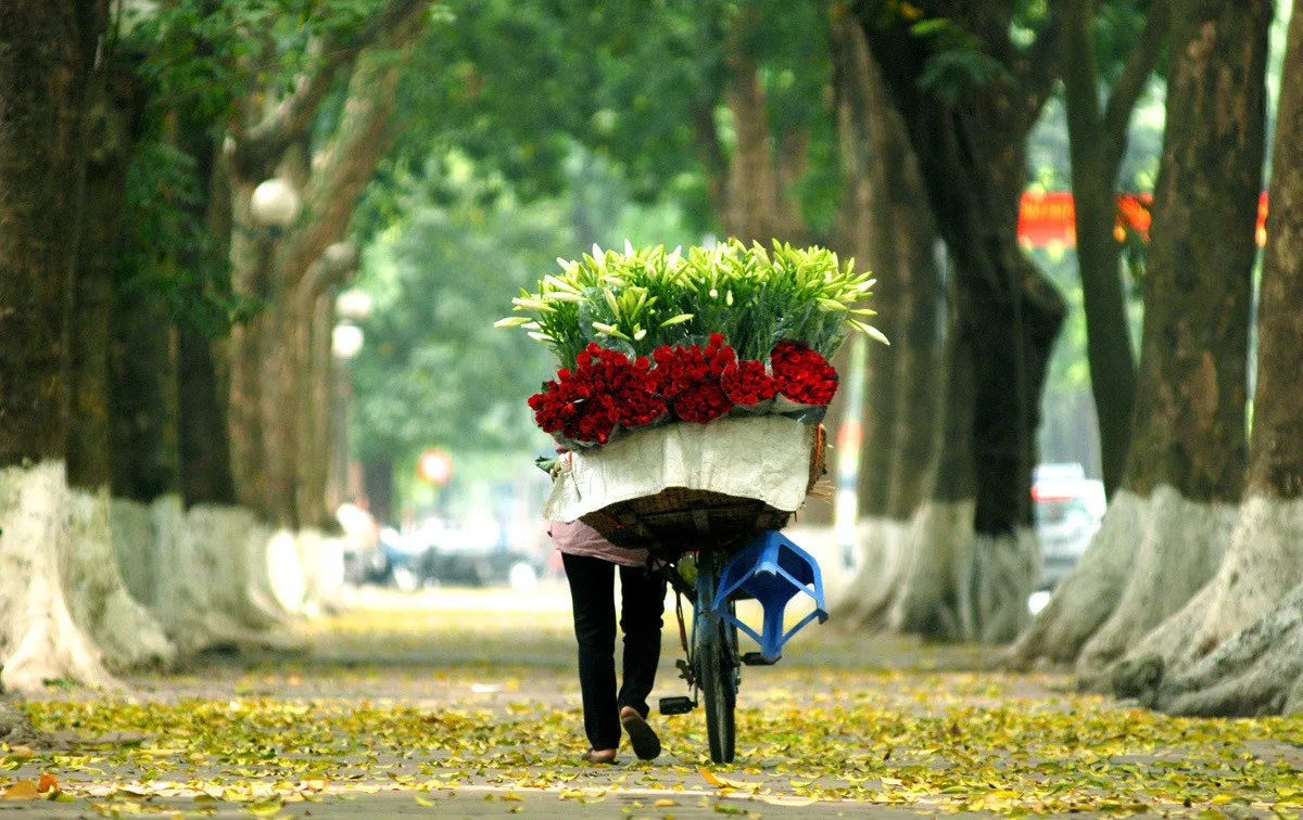 Kinh nghiệm du lịch Hà Nội mùa thu đẹp đến nao lòng