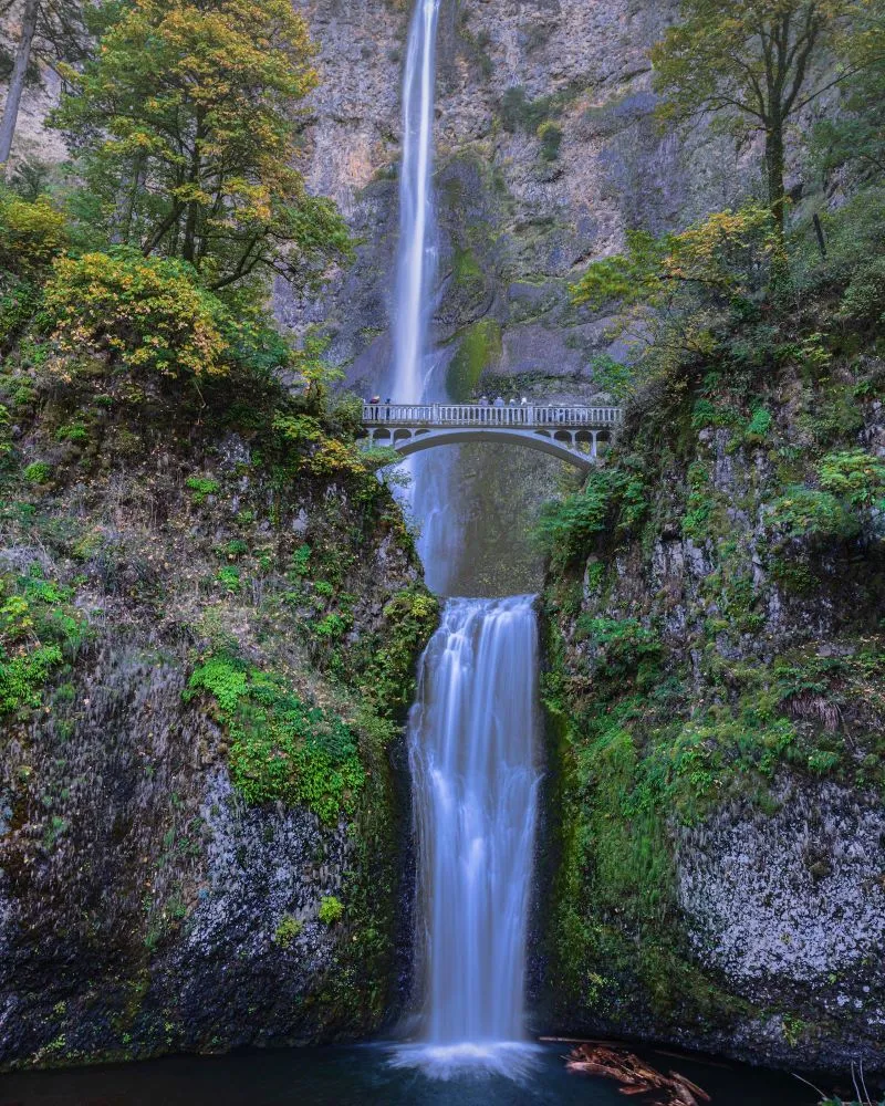 Kinh nghiệm du lịch Portland, thành phố hoa hồng lãng mạn