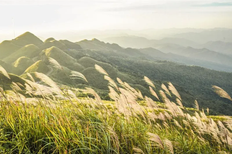 Kinh nghiệm du lịch Quảng Ninh hè chi tiết cho tín đồ xê dịch