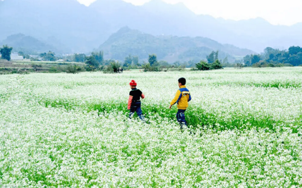 Kinh nghiệm khám phá bản Thung Cuông tự túc mới nhất