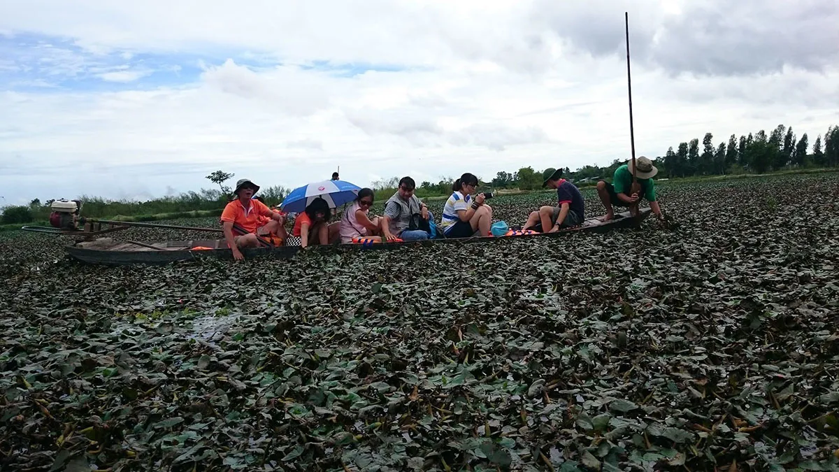 Kinh nghiệm tham quan Phú Tân, trải nghiệm văn hóa Nam Bộ