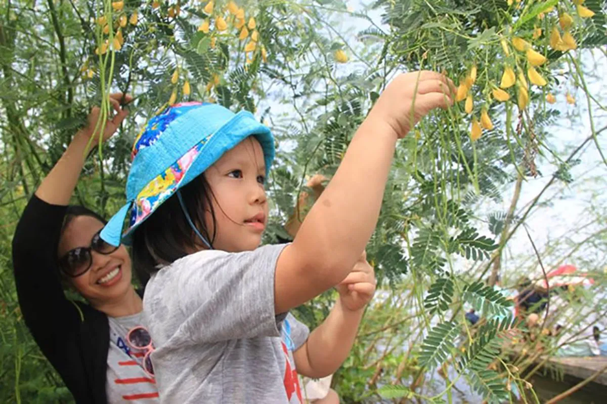 Kinh nghiệm tham quan Phú Tân, trải nghiệm văn hóa Nam Bộ