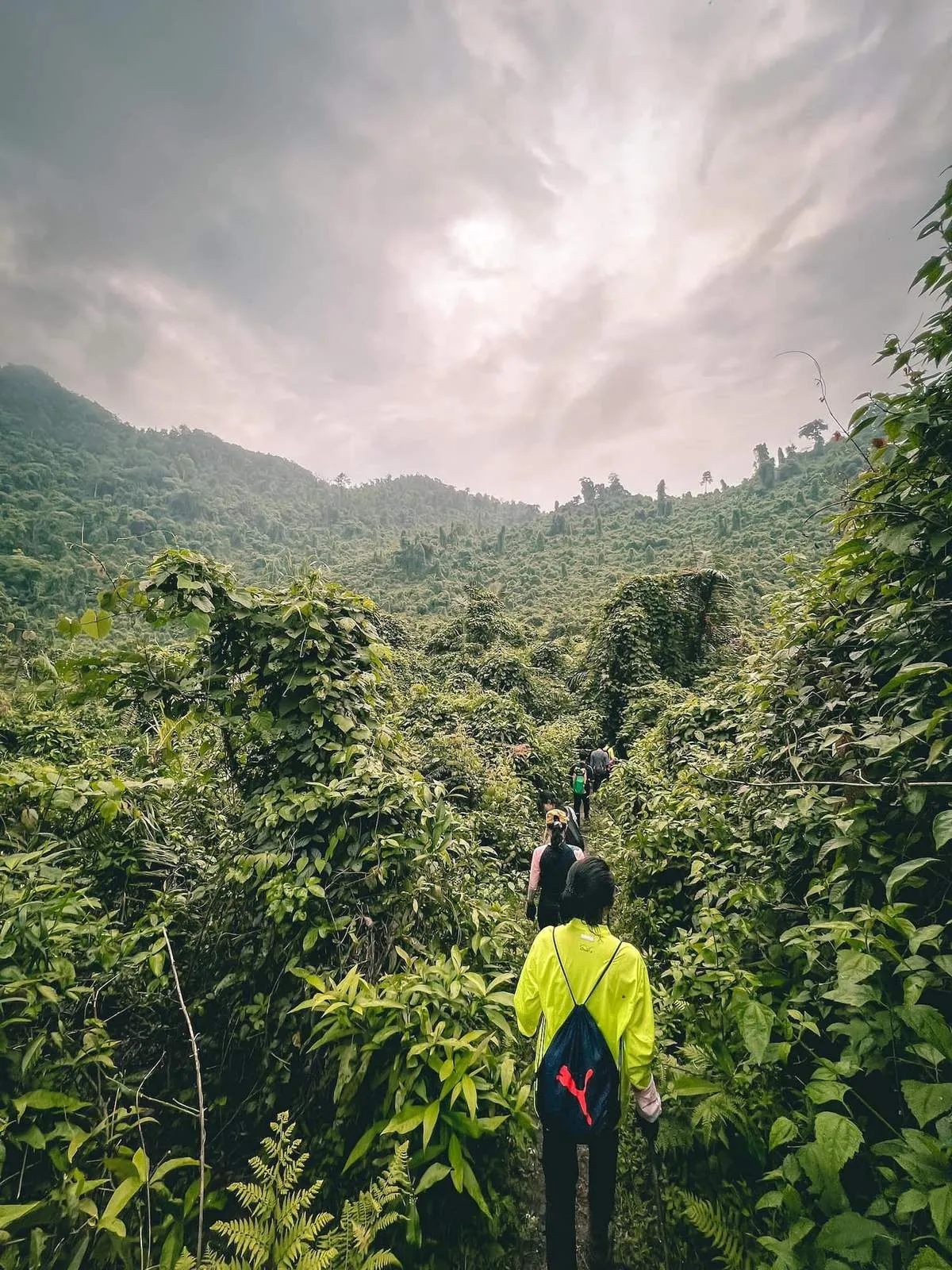 Kinh nghiệm trekking Phong Nha Kẻ Bàng cho người lần đầu tham gia