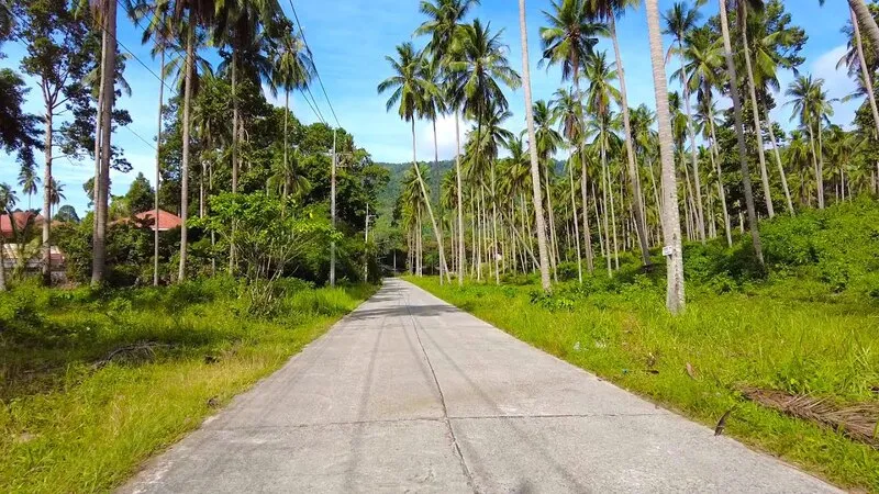 Koh Samui, thiên đường nguyên sơ với vẻ đẹp trù phú