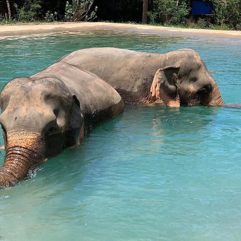 Koh Samui, thiên đường nguyên sơ với vẻ đẹp trù phú