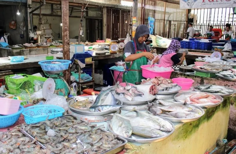 Koh Samui, thiên đường nguyên sơ với vẻ đẹp trù phú