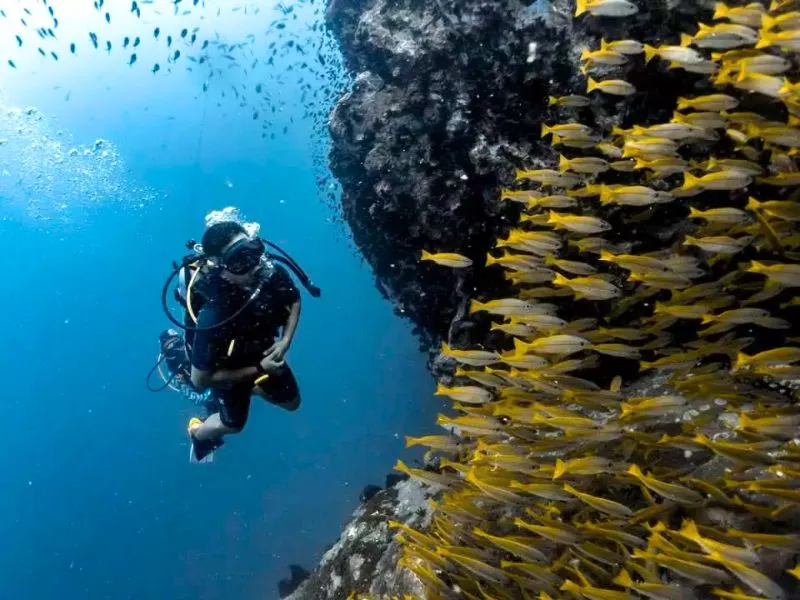 Koh Tao, điểm lặn biển nổi tiếng hàng đầu Thái Lan