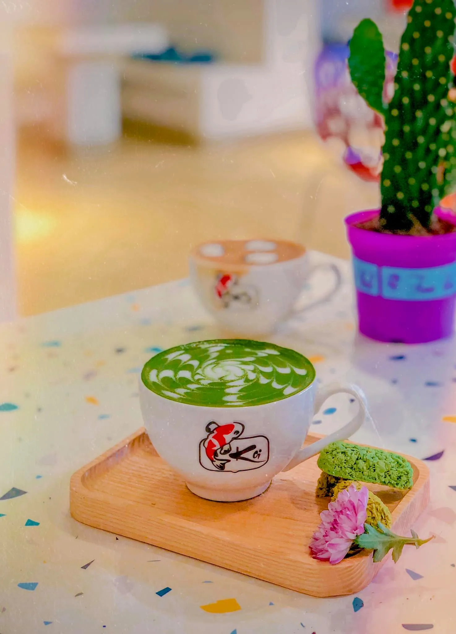 KOI café Phú Yên – Quán cà phê cá Koi đầu tiên tại Phú Yên