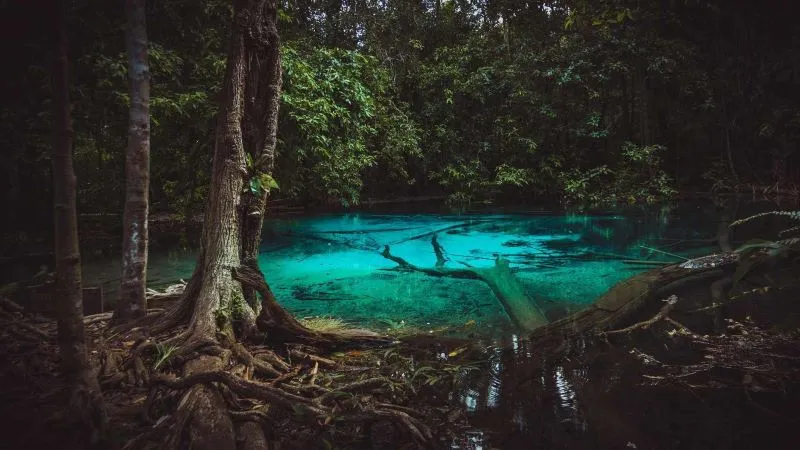 Krabi Thailand, ngỡ ngàng vẻ đẹp của vùng đất bị bỏ quên