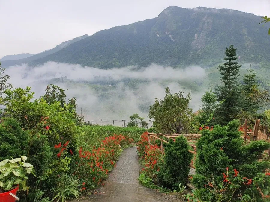 La Beauté Sa Pa, homestay có view nhìn ra ruộng bậc thang cực xinh