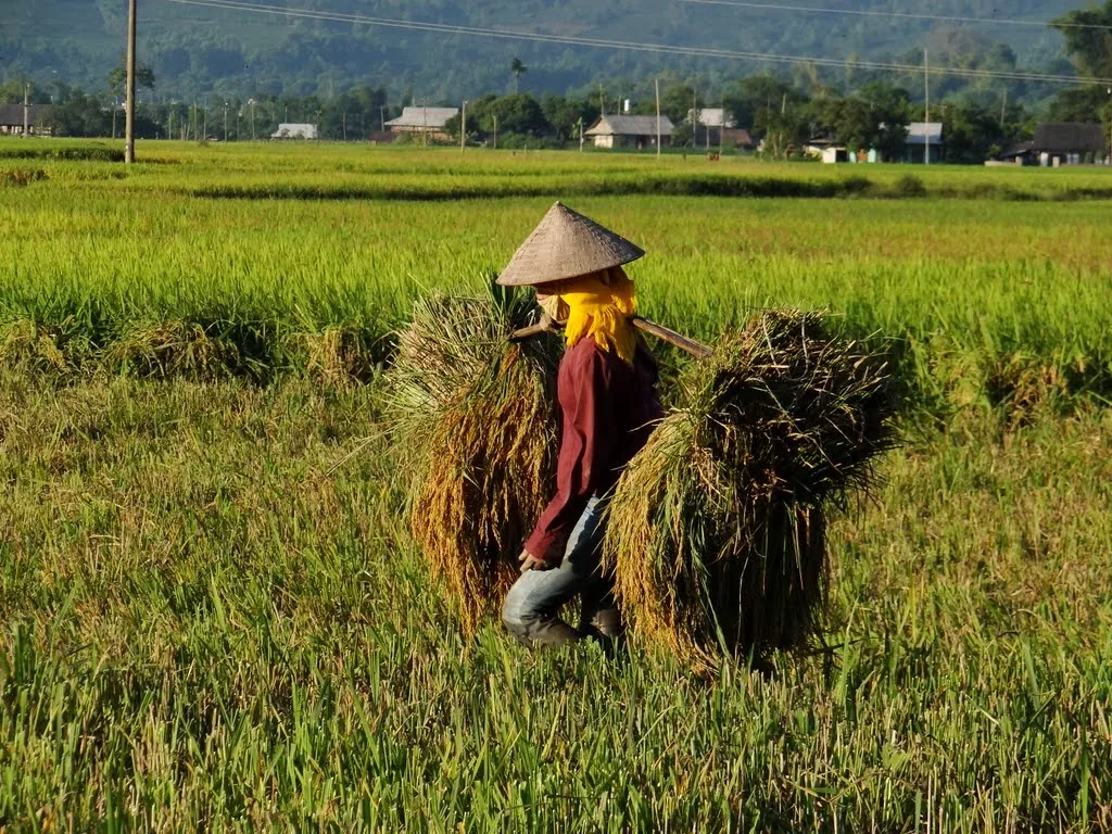 Là thật hay mơ trước những điều quá đỗi tuyệt vời tại Thị trấn Nghĩa Lộ