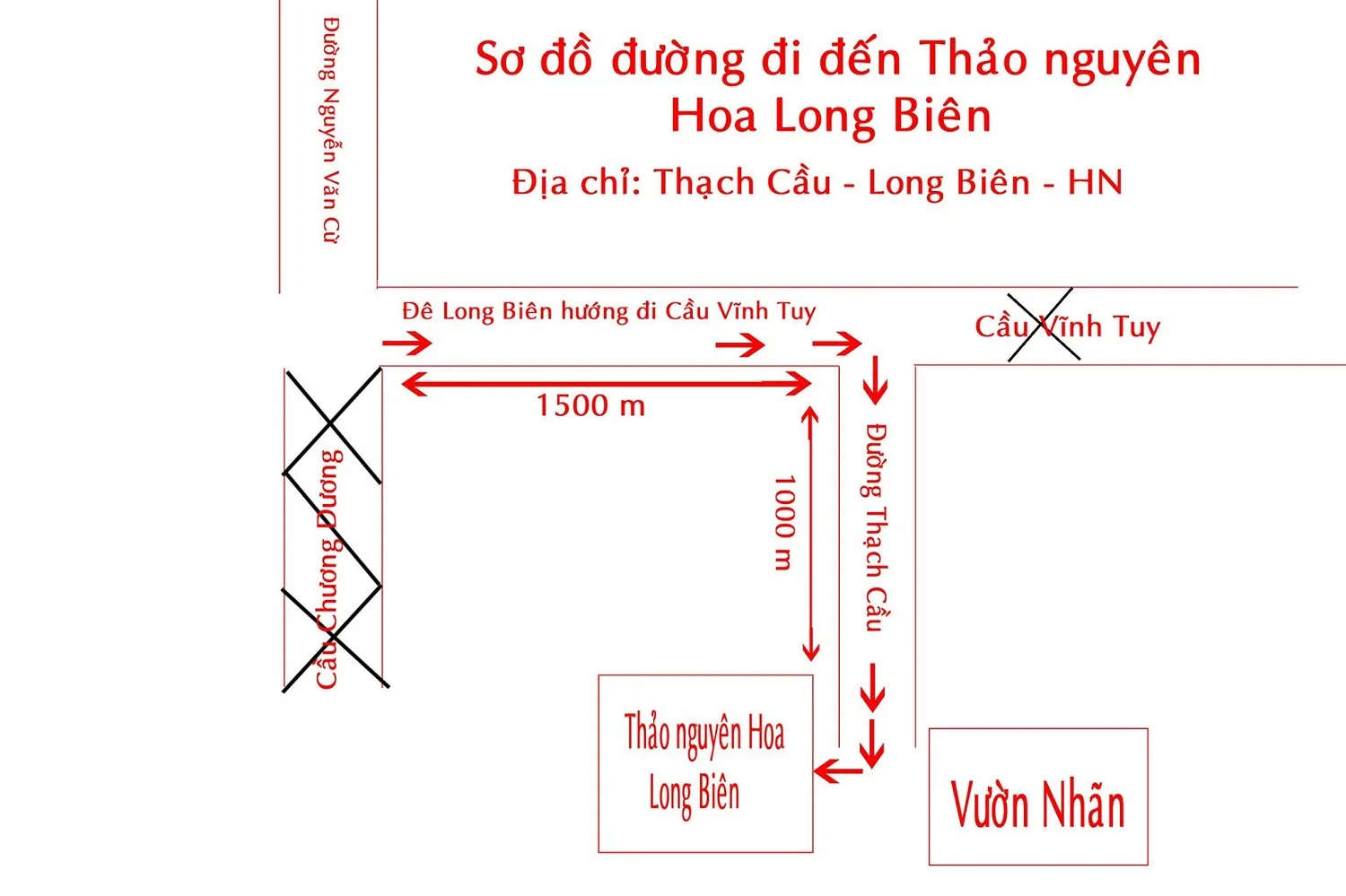 Lạc giữa thảo nguyên hoa Long Biên ngập tràn sắc màu