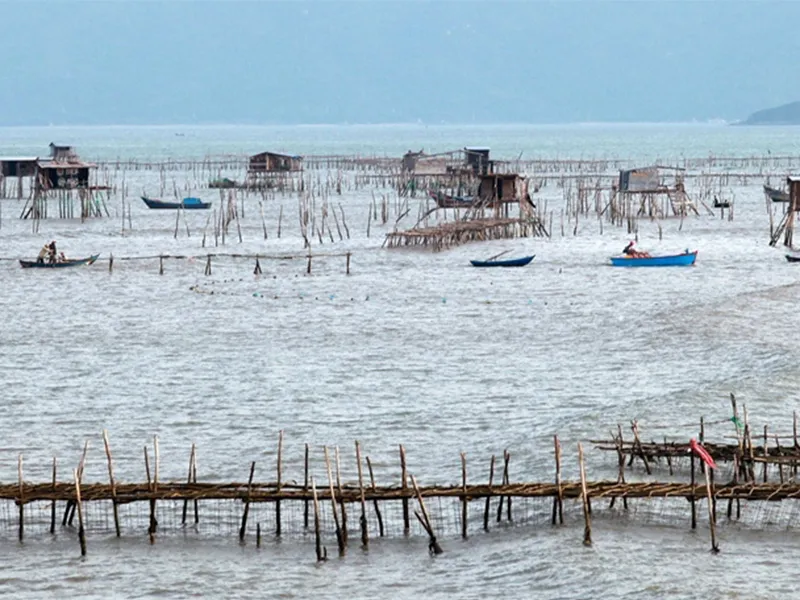 Lạc lối ở Vịnh Nha Phu – Thiên đường nhiệt đới trong lòng biển cả