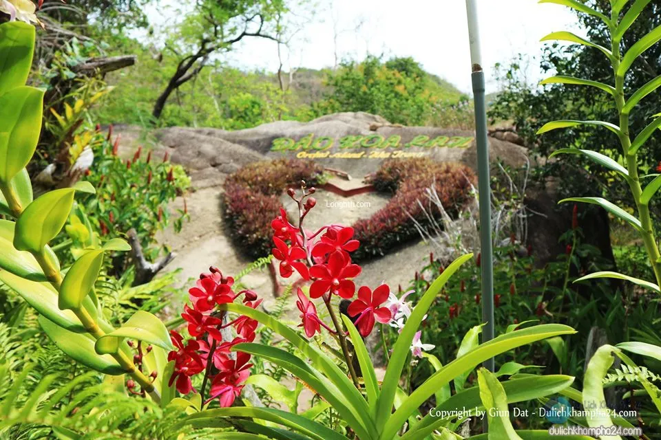 Lạc lối ở Vịnh Nha Phu – Thiên đường nhiệt đới trong lòng biển cả